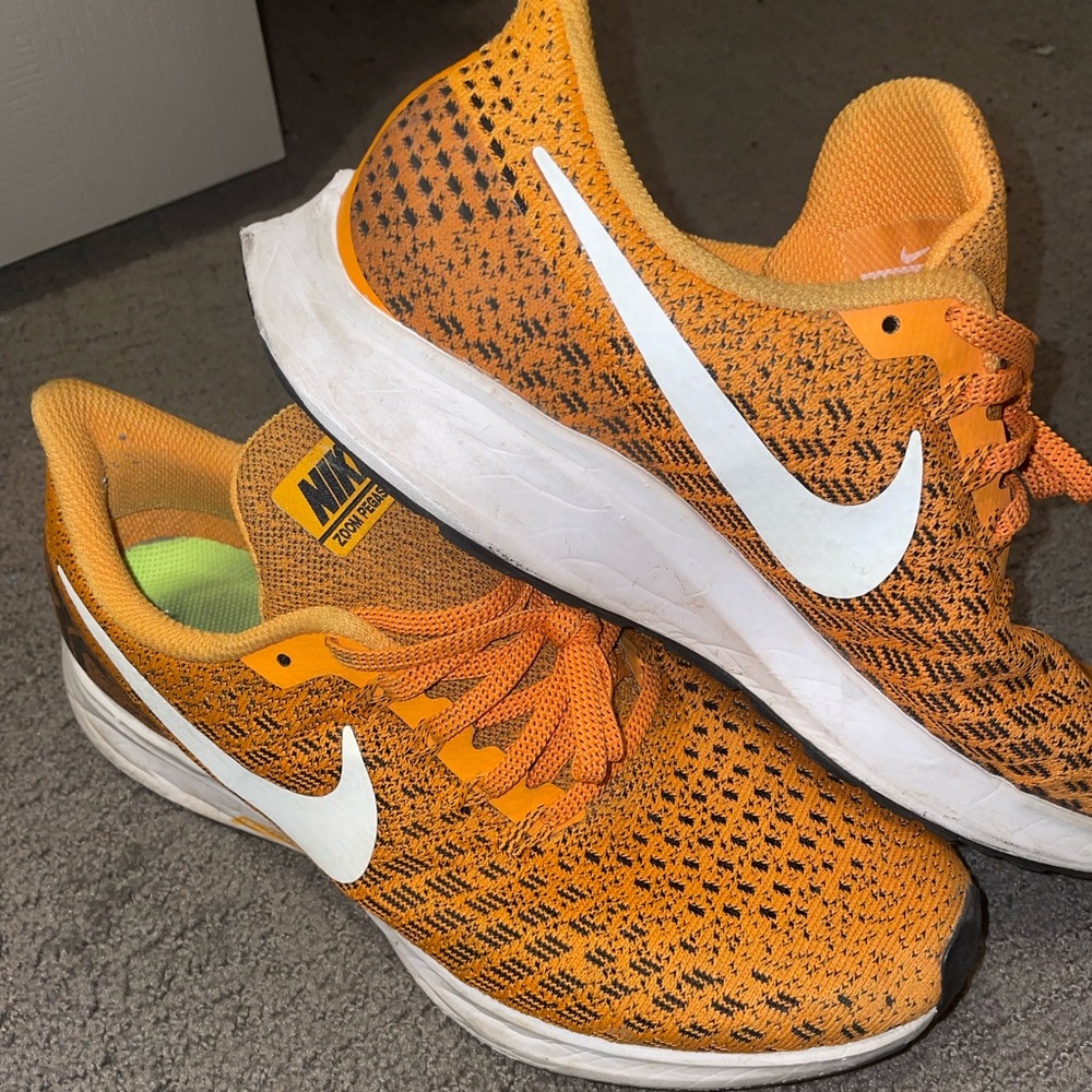 Nike Zoom Pegasus 35 (size 7)